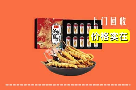 沙县回收冬虫夏草