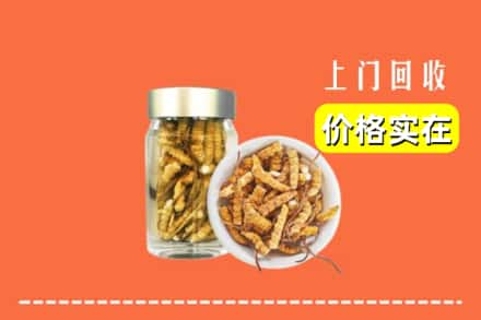 收购资讯:沙县回收散虫草