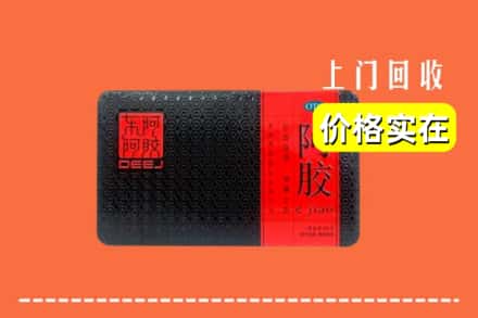 收购资讯:沙县回收阿胶