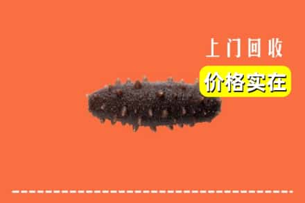 收购资讯:沙县回收海参
