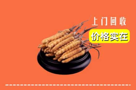 沙县回收冬虫夏草