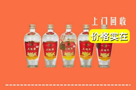 沙县回收老五粮液